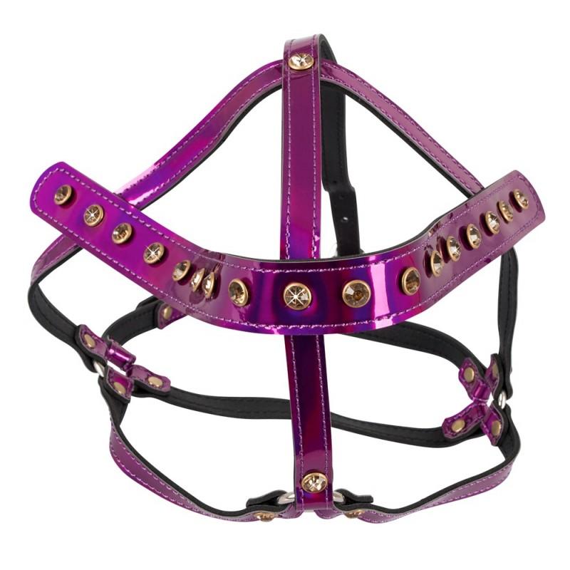 Head harness