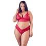 Bra and red briefs xl