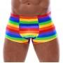 Men's Boxer Briefs Rainbow 2XL