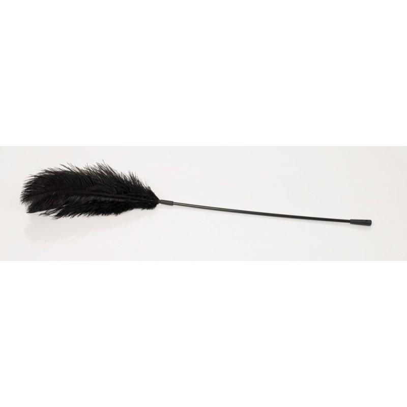 Black feather bad kitty