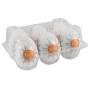 Tenga egg shiny 6pcs