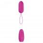 B swish - bnaughty classic unleashed vibrating bullet cerise