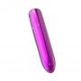 powerbullet - pretty point vibrator 10 function purple